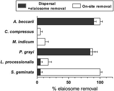 Seed Elaiosome Mediates Dispersal by Ants and Impacts Germination in Ricinus communis